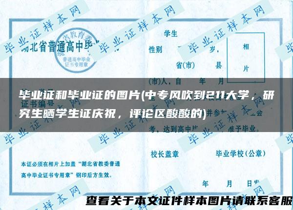 畢業證和畢業證的圖片(中專風吹到211大學，研究生曬學生證慶祝，評論區酸酸的)