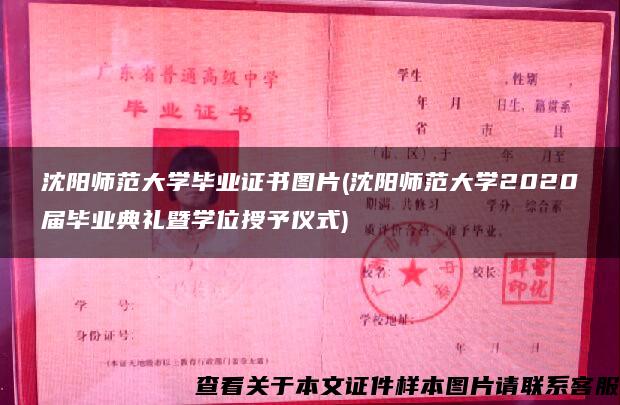 沈陽師范大學畢業證書圖片(沈陽師范大學2020屆畢業典禮暨學位授予儀式)