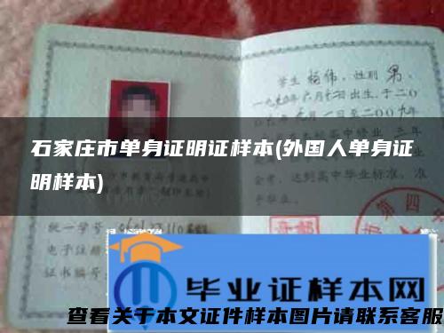 石家莊市單身證明證樣本(外國人單身證明樣本)
