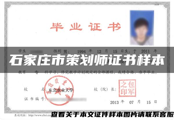 石家莊市策劃師證書樣本