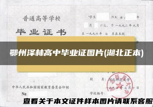 鄂州澤林高中畢業證圖片(湖北正本)