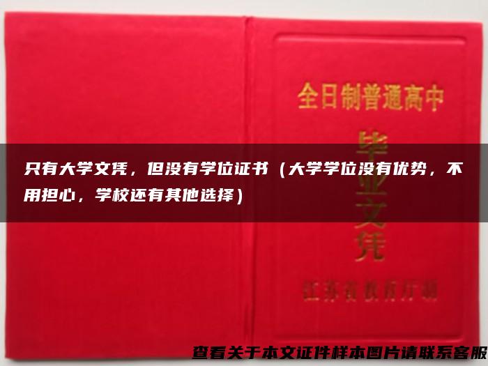 只有大學文憑，但沒有學位證書（大學學位沒有優勢，不用擔心，學校還有其他選擇）
