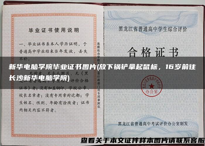 新華電腦學院畢業證書圖片(放下鍋鏟拿起鼠標，16歲前往長沙新華電腦學院)