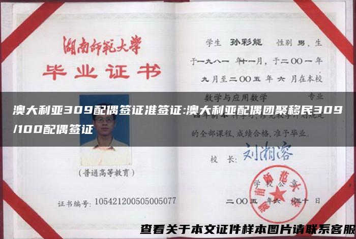 澳大利亞309配偶簽證準簽證:澳大利亞配偶團聚移民309/100配偶簽證