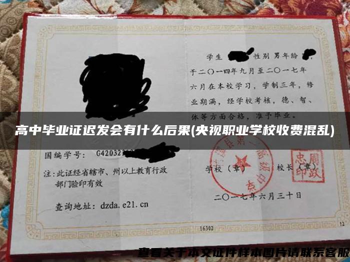高中畢業證遲發會有什么后果(央視職業學校收費混亂)