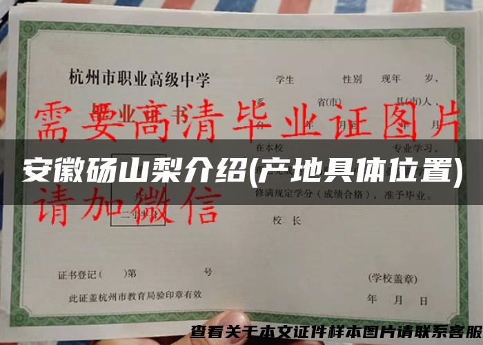 安徽碭山梨介紹(產地具體位置)