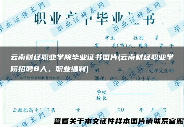 云南財經職業學院畢業證書圖片(云南財經職業學院招聘8人，職業編制)