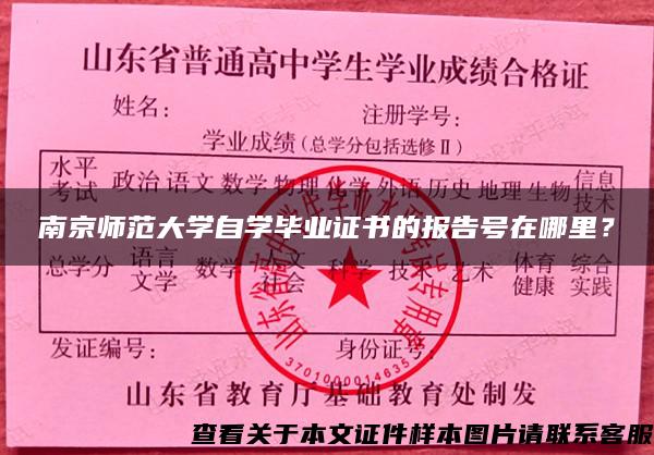 南京師范大學自學畢業證書的報告號在哪里？