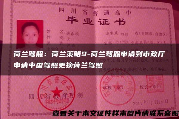 荷蘭駕照：荷蘭策略9-荷蘭駕照申請到市政廳申請中國駕照更換荷蘭駕照