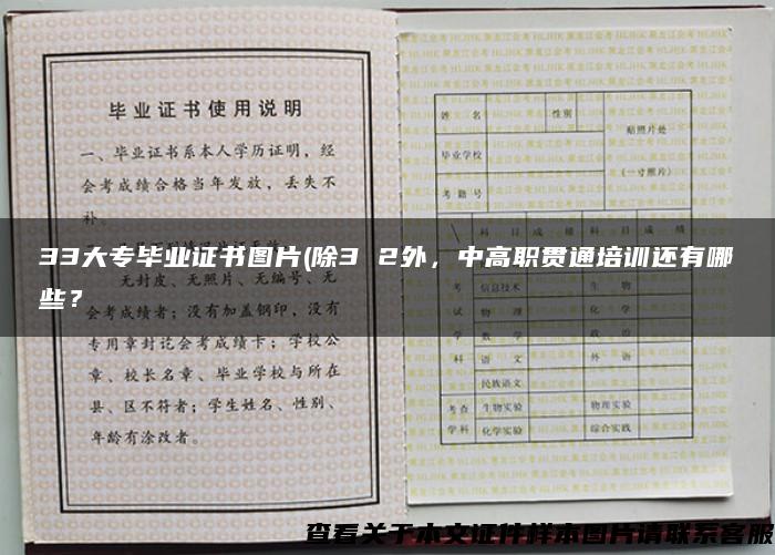 33大專畢業證書圖片(除3 2外，中高職貫通培訓還有哪些？