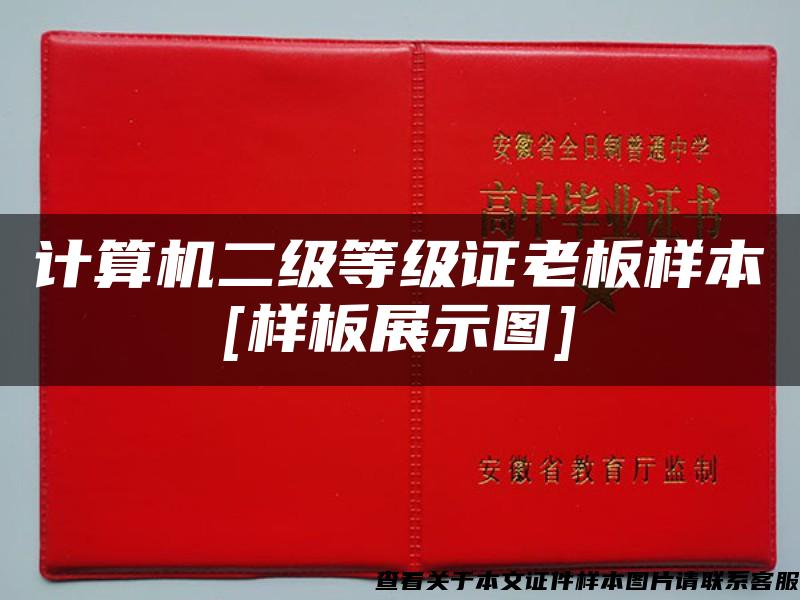 計算機二級等級證老板樣本[樣板展示圖]