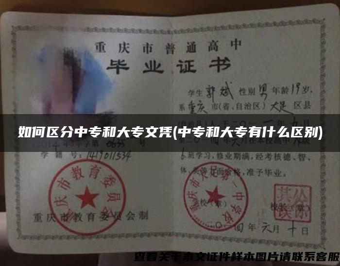 如何區分中專和大專文憑(中專和大專有什么區別)