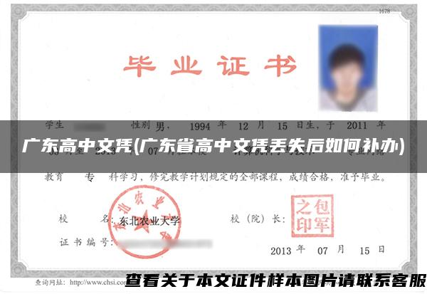 廣東高中文憑(廣東省高中文憑丟失后如何補辦)