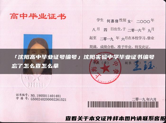 「沈陽高中畢業證號編號」沈陽實驗中學畢業證書編號忘了怎么查怎么拿