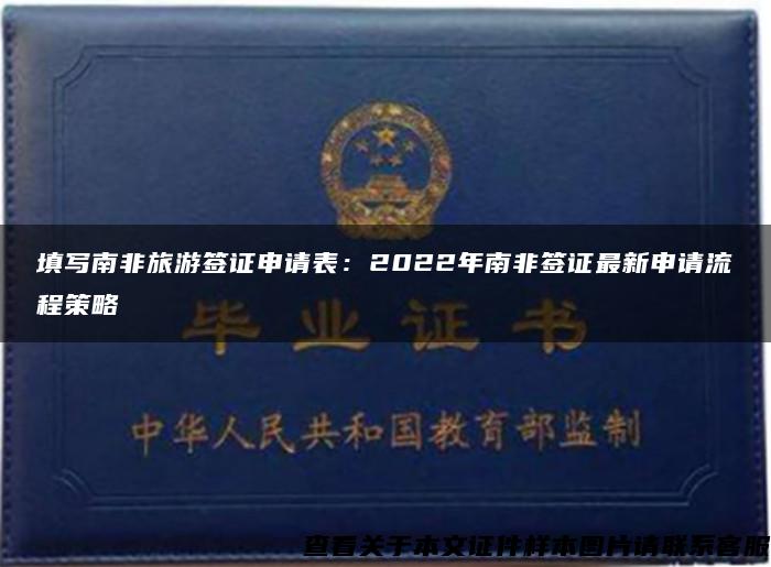 填寫南非旅游簽證申請表：2022年南非簽證最新申請流程策略
