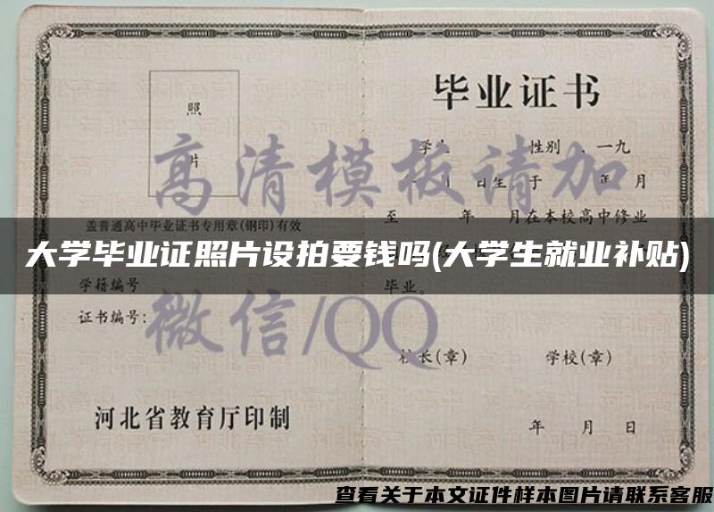 大學畢業證照片設拍要錢嗎(大學生就業補貼)