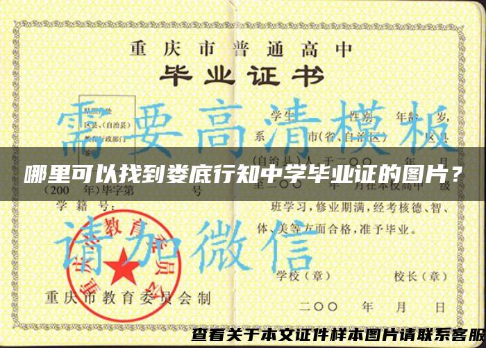 哪里可以找到婁底行知中學畢業證的圖片？