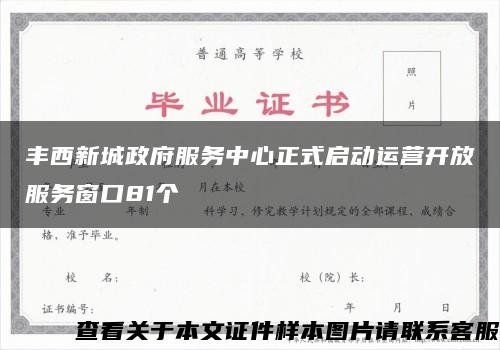 豐西新城政府服務中心正式啟動運營開放服務窗口81個