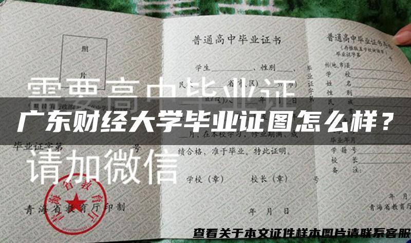 廣東財經大學畢業證圖怎么樣？