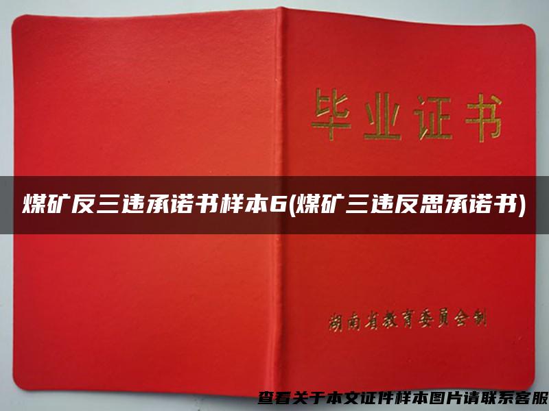 煤礦反三違承諾書樣本6(煤礦三違反思承諾書)