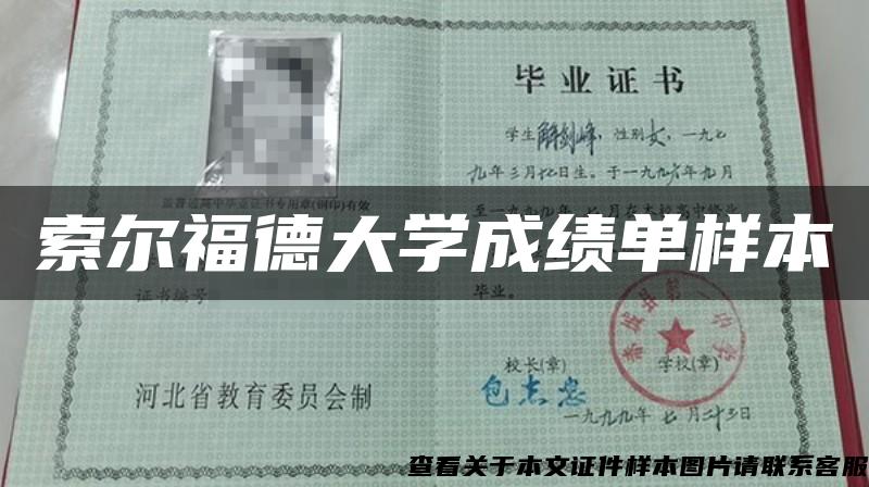 索爾福德大學成績單樣本