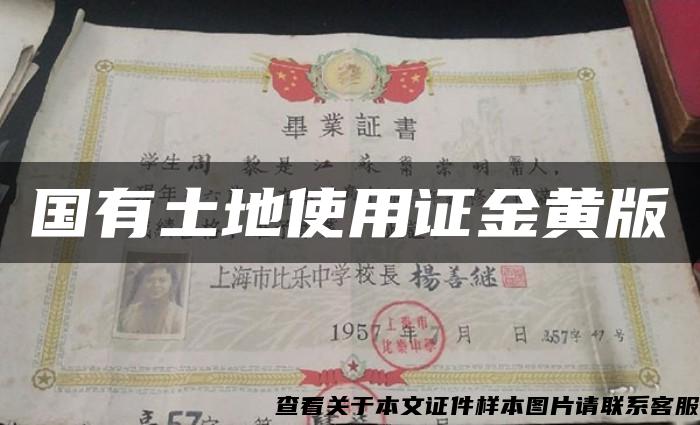 國有土地使用證金黃版