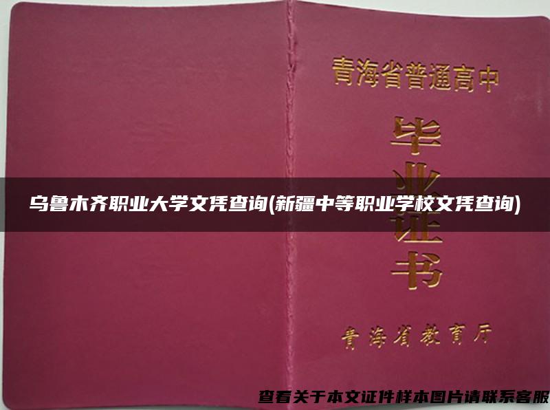 烏魯木齊職業大學文憑查詢(新疆中等職業學校文憑查詢)