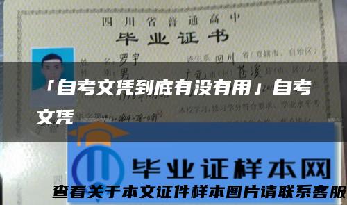 「自考文憑到底有沒有用」自考文憑