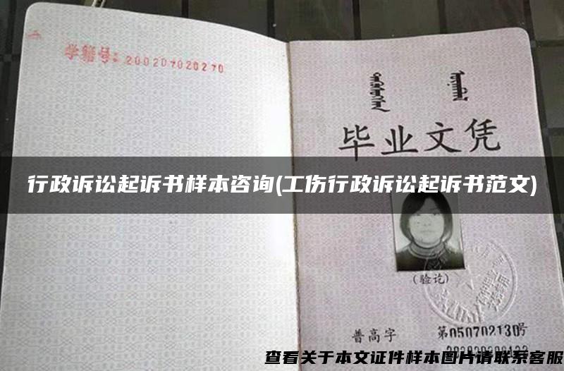 行政訴訟起訴書樣本咨詢(工傷行政訴訟起訴書范文)