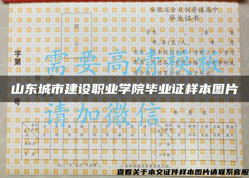 山東城市建設職業學院畢業證樣本圖片