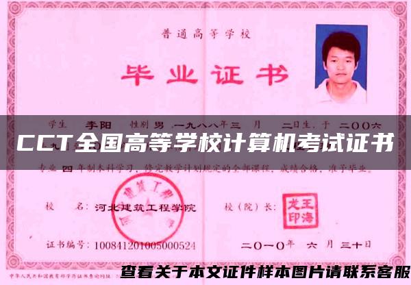 CCT全國高等學校計算機考試證書