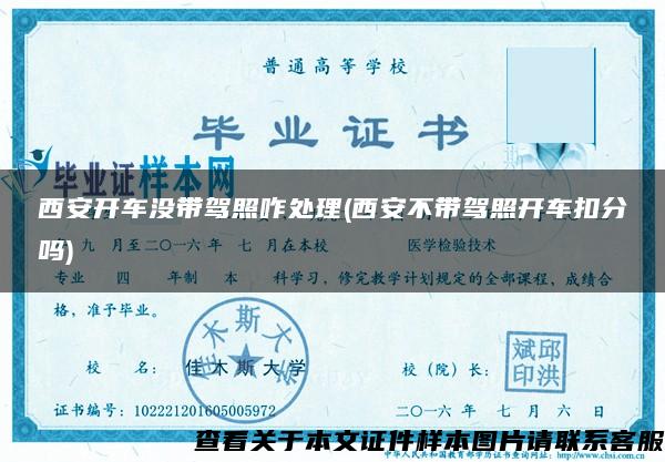 西安開車沒帶駕照咋處理(西安不帶駕照開車扣分嗎)