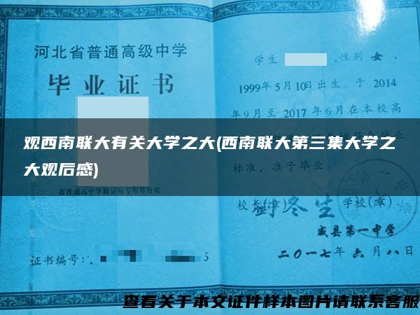 觀西南聯大有關大學之大(西南聯大第三集大學之大觀后感)