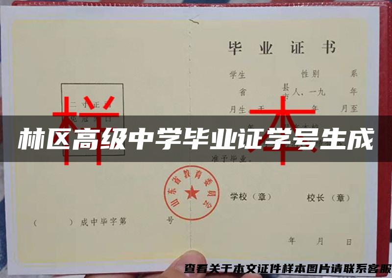 林區高級中學畢業證學號生成