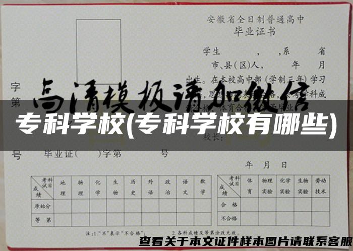 ?？茖W校(?？茖W校有哪些)