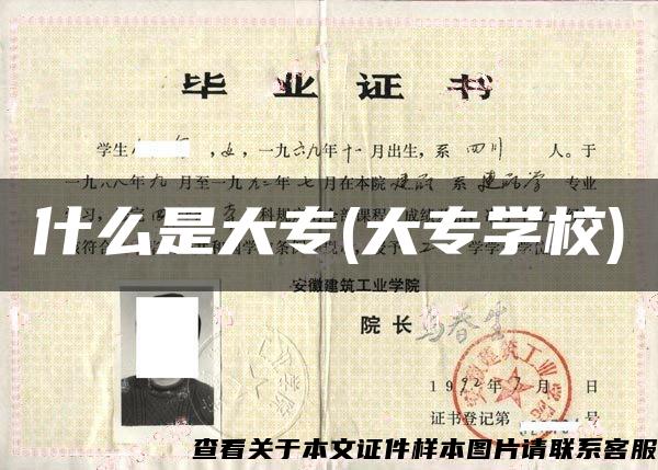 什么是大專(大專學校)