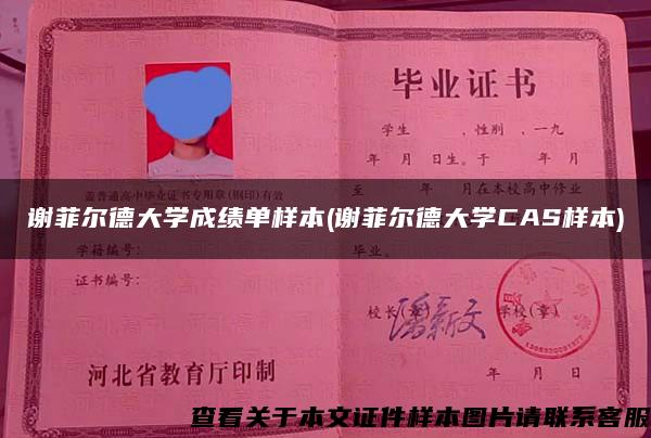 謝菲爾德大學成績單樣本(謝菲爾德大學CAS樣本)