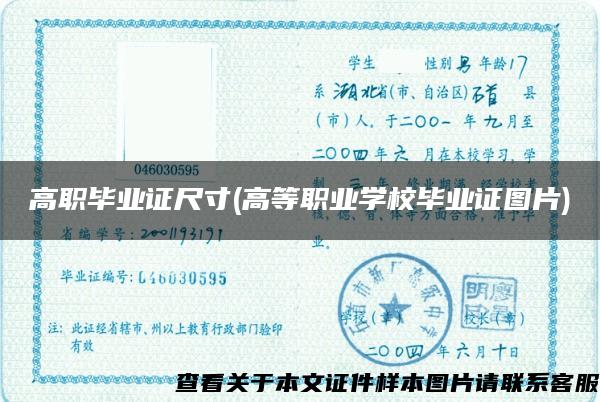 高職畢業證尺寸(高等職業學校畢業證圖片)