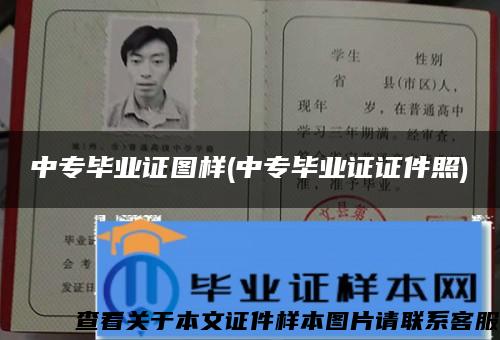 中專畢業證圖樣(中專畢業證證件照)