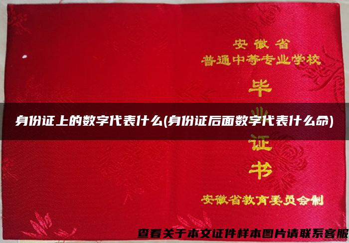 身份證上的數字代表什么(身份證后面數字代表什么命)