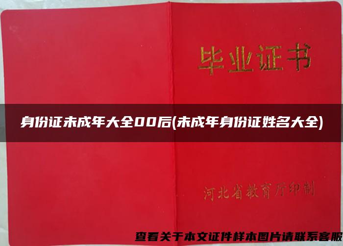 身份證未成年大全00后(未成年身份證姓名大全)