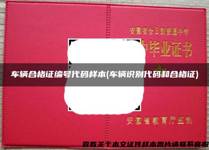 車輛合格證編號代碼樣本(車輛識別代碼和合格證)