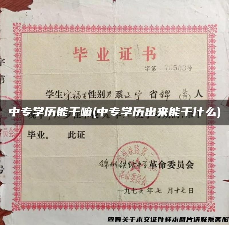 中專學歷能干嘛(中專學歷出來能干什么)