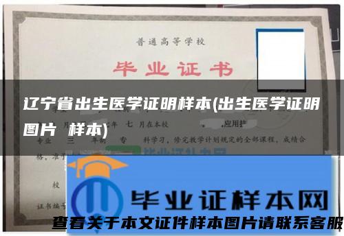 遼寧省出生醫學證明樣本(出生醫學證明圖片 樣本)