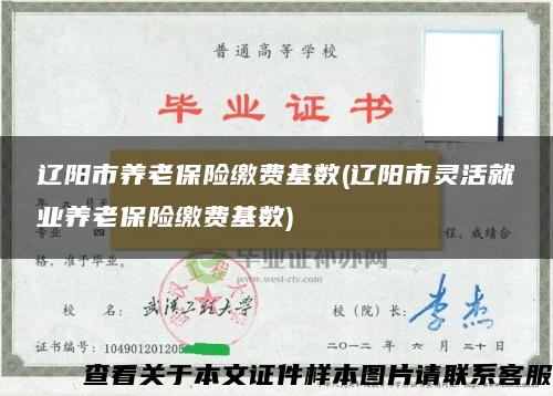 遼陽市養老保險繳費基數(遼陽市靈活就業養老保險繳費基數)