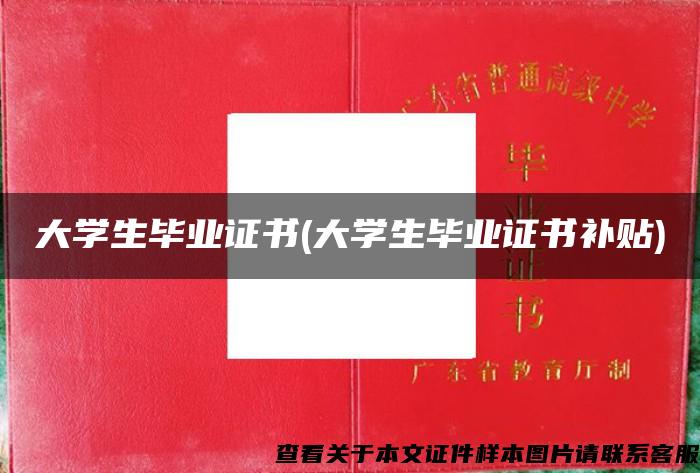 大學生畢業證書(大學生畢業證書補貼)