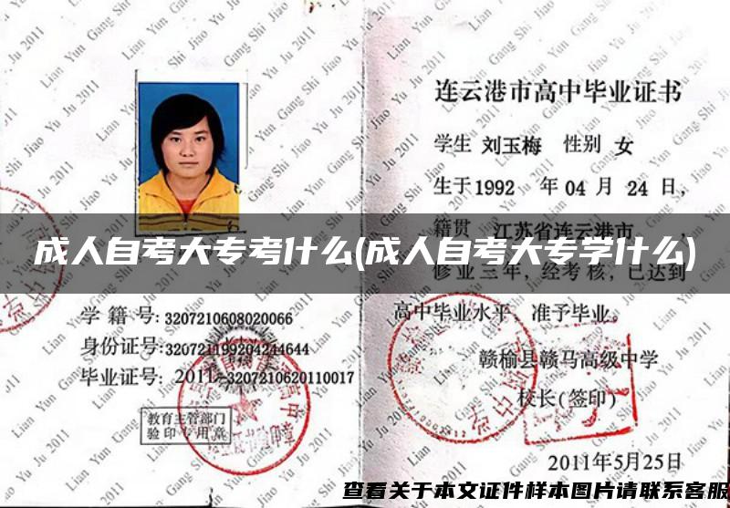 成人自考大?？际裁?成人自考大專學什么)