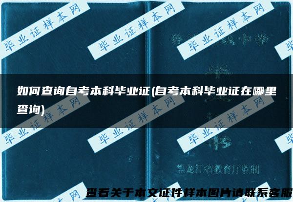 如何查詢自考本科畢業證(自考本科畢業證在哪里查詢)