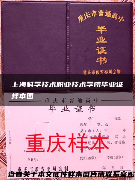 上?？茖W技術職業技術學院畢業證樣本圖