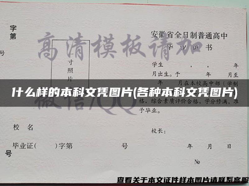 什么樣的本科文憑圖片(各種本科文憑圖片)